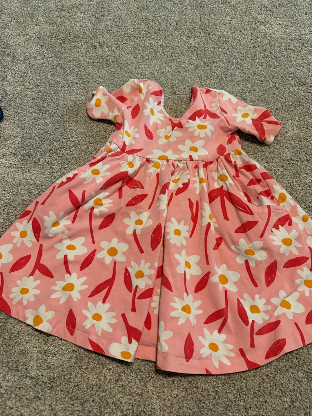 Hanna Andersson Pink Daisy Dress with Red Leaf Accents Size 3t / 90